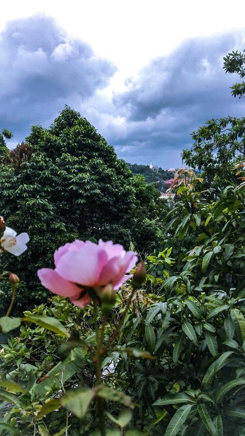 J Hostel Kandy Bagian luar foto